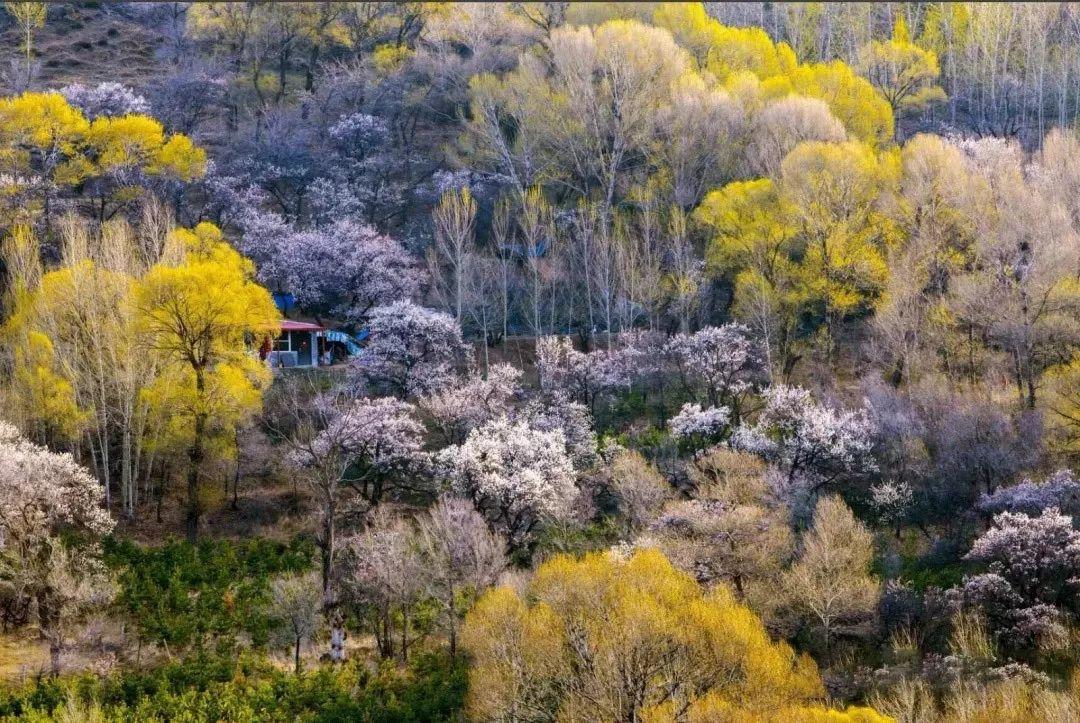 山西有一个神奇的地方，整个县都是景区，而且多数免费！