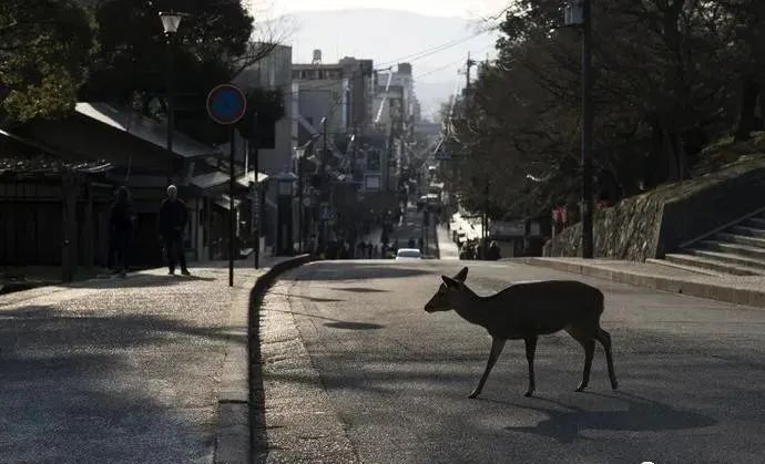 地球在自我拯救？科学家统计发现:新冠正在阻止全球变暖！