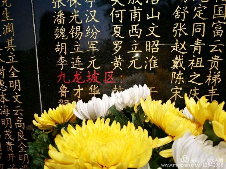 作者的大女儿任群2017年代表母亲去重庆烈士陵园祭奠黄元淮烈士。