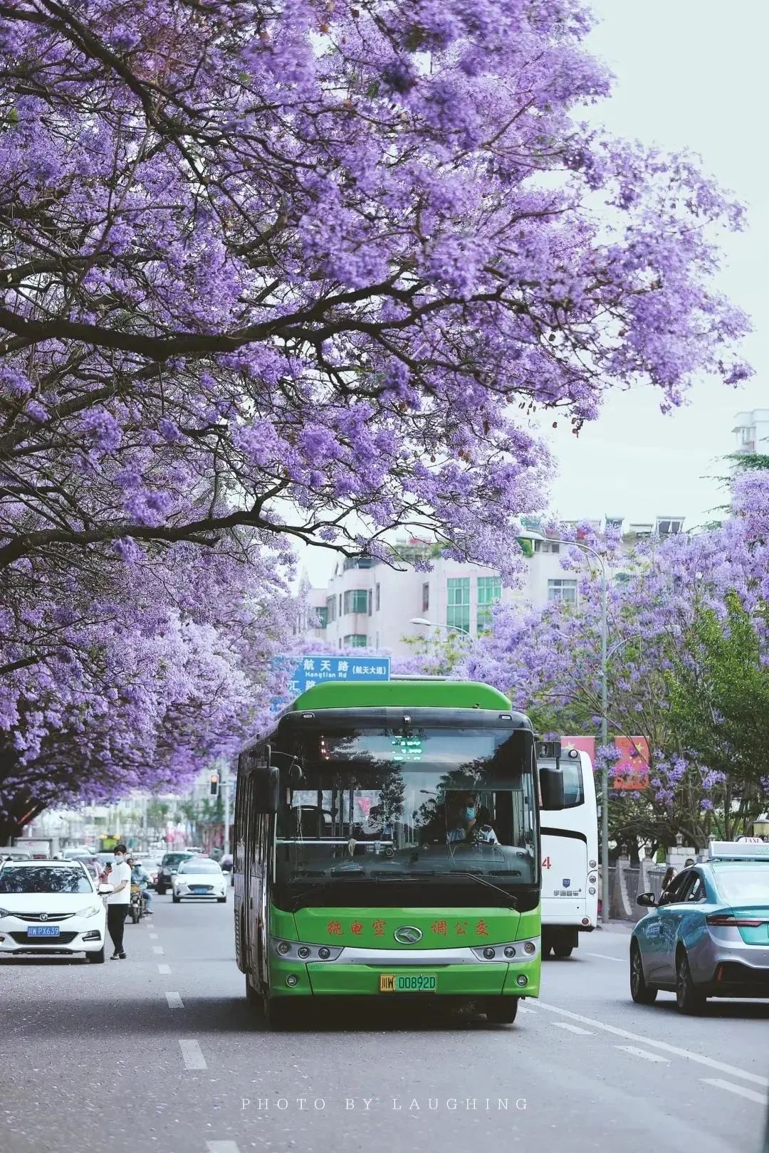 蓝花楹、3路车、卫星宾馆…那些年我们“追”过的西昌往事！