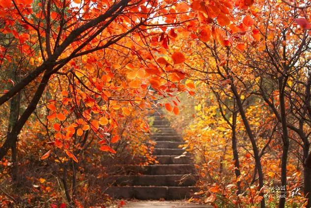 70张照片告诉您，北京的秋天到底有多美！绝对是人间天堂……
