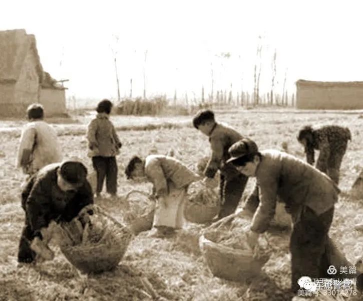 我们的童年有“硝烟”，银屏上“爸爸”在作战