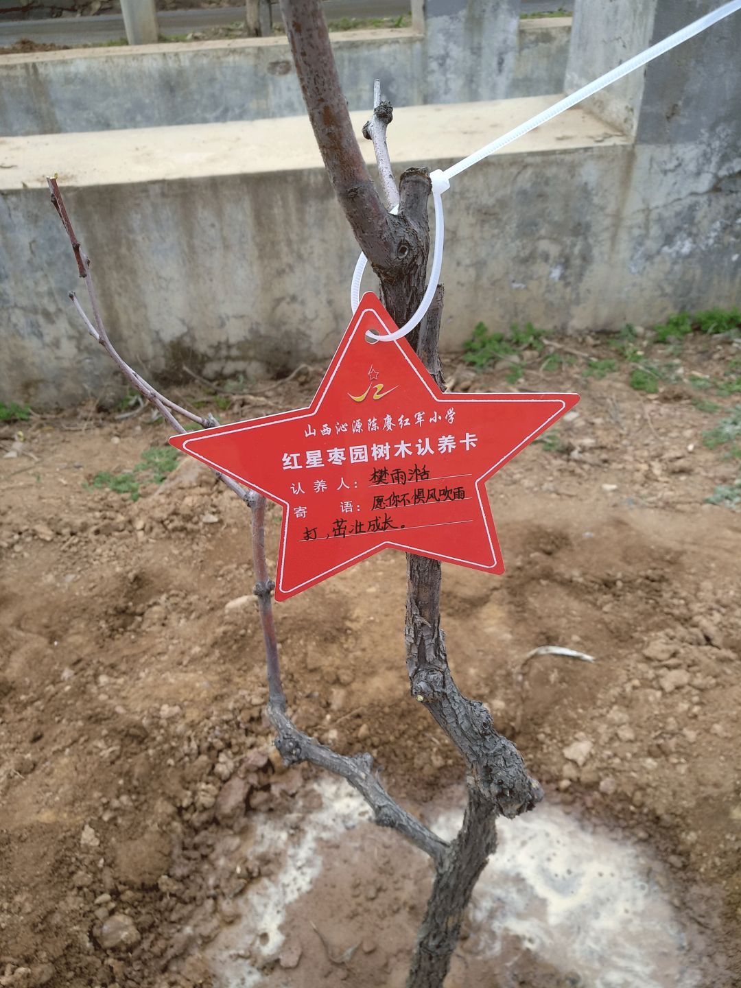 太岳分会与沁源县政府  举行枣树捐赠暨红星枣园揭牌仪式
