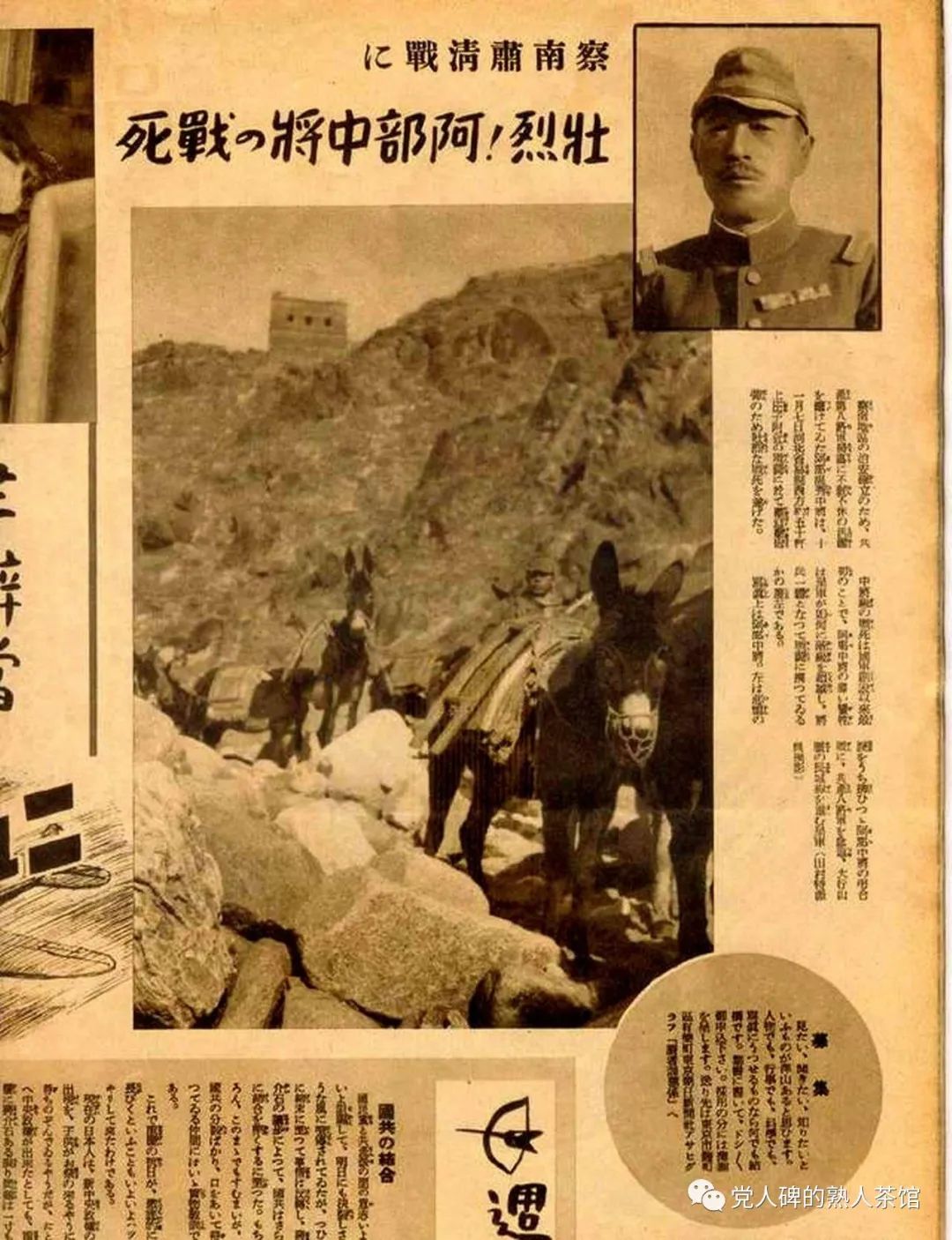 我的忠诚是无名，终结“名将之花”神话的潜伏者
