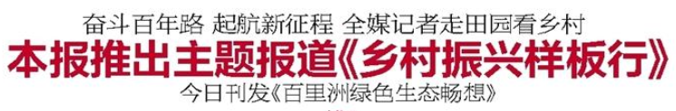 媒体人注意！“庆祝建党100周年”主题宣传，这些错误不能犯