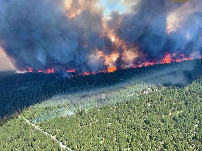 阿拉伯高温73℃、美国50℃致死600人，北极最后冰区融化：地球怎么了？