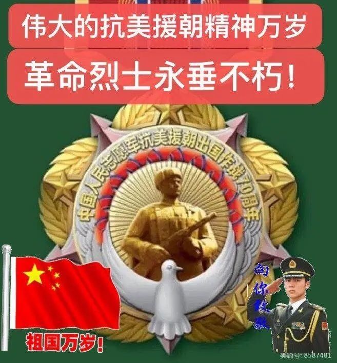 我为烈士来寻亲(25) 我为烈士来寻亲(25)