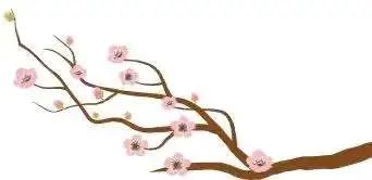 抗日硝烟燃起，他驾驶战机奋勇杀敌、血洒长空！烈士的英勇事迹值得永远铭记！