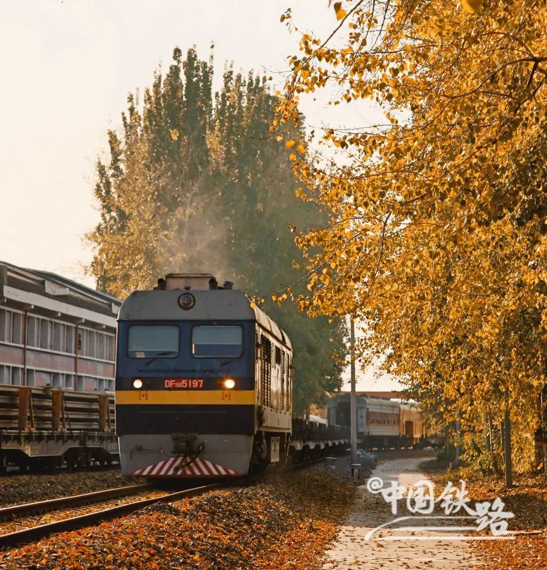 秋日特辑｜开往秋天的火车，美到窒息……