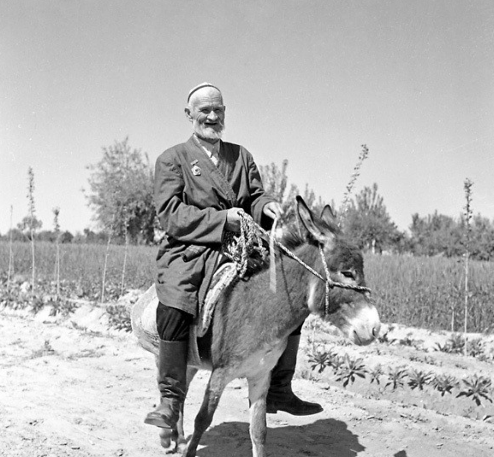 ?1956年，那位骑着毛驴去北京见毛主席的新疆老农，最后见到了吗？