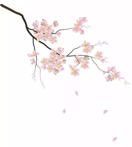 【河顺文艺·第54期】月季树（外一首）|  梦立方