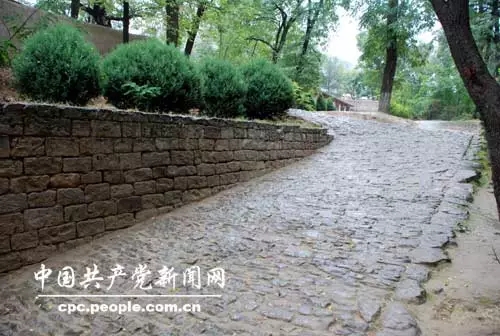 枣园内一条保持当年原样的小路。毛泽东当年经常在这条路上散步。