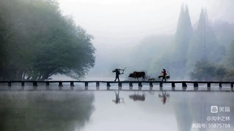 【风中之林】河南省老干部大学生态摄影二班优秀作品选登 | 郭 林