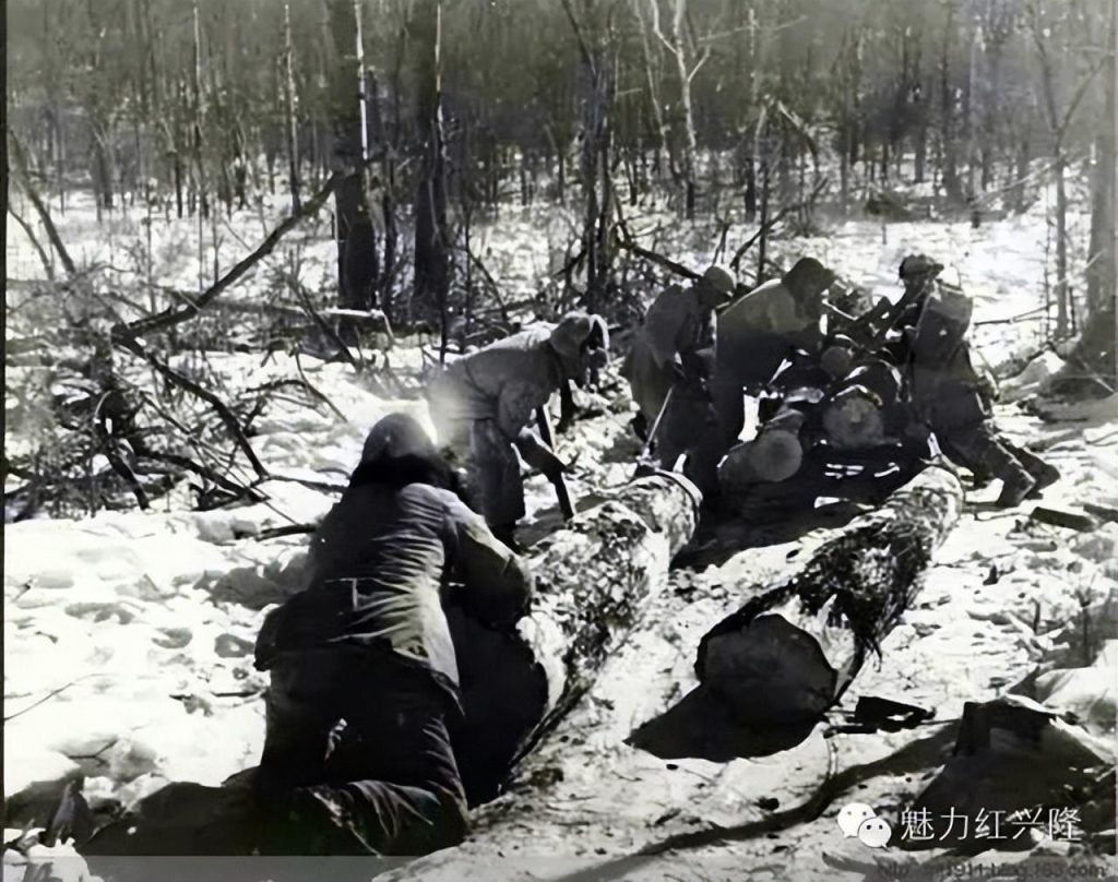 转业官兵进军北大荒上山伐木。1958年