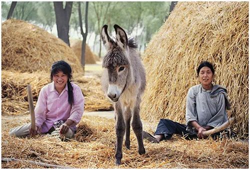 “黄河百姓——朱宪民摄影60周年回顾展”在中国美术馆开展