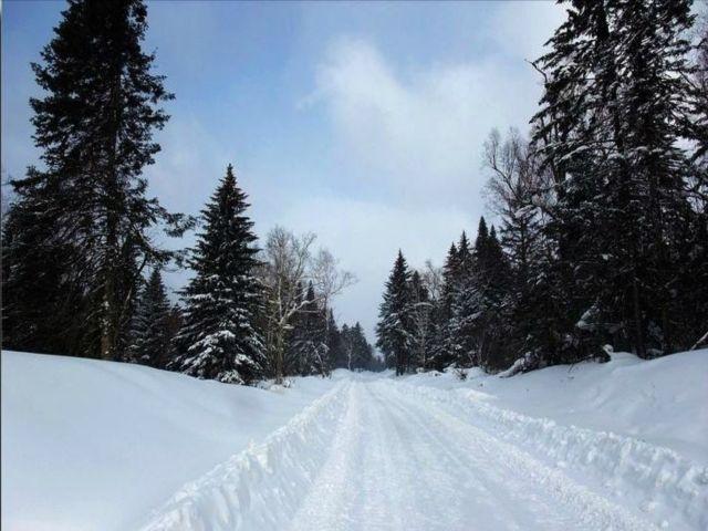 东北的林海雪原冬天大雪厚度达一米左右