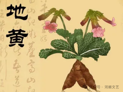 【神话书田】炮仗花  | 李合吉（文）蜗牛物语（诵读）