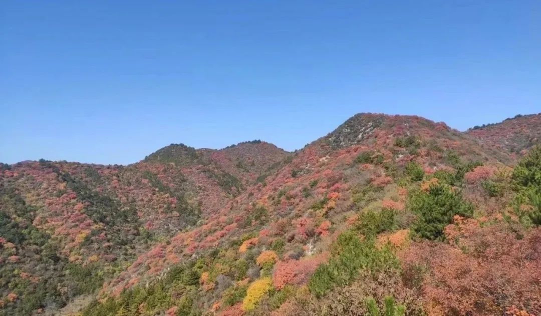 【红色热土】马玉龙：十字岭之叹——纪念左权将军殉国八十一周年