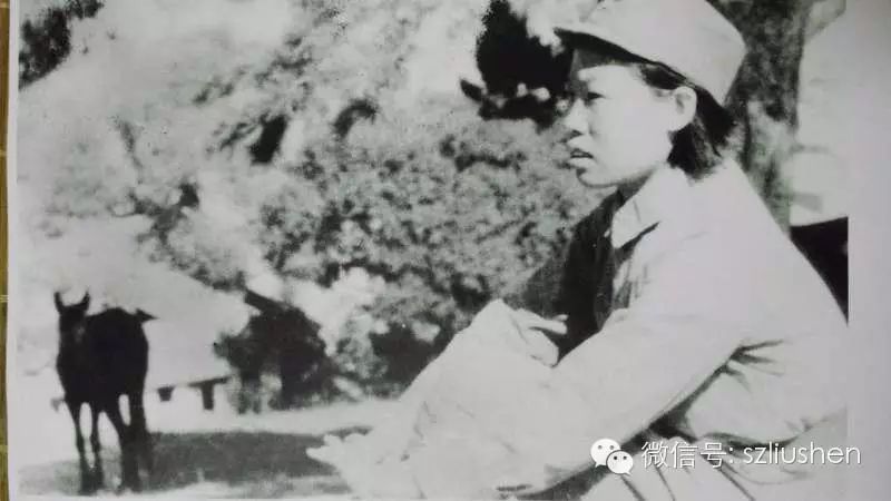 沙飞之子王毅强口述历史：生命中绕不过去的故乡