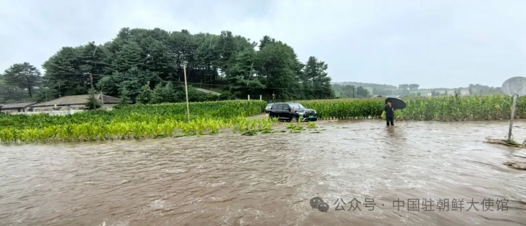 中国驻朝鲜使馆祭扫云山中国人民志愿军烈士陵园