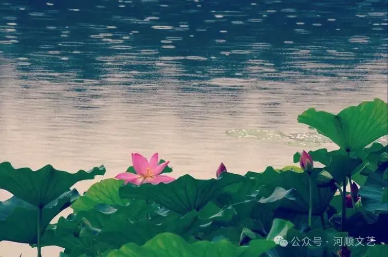 【尚可诗坛】七律 . 吟 雨| 尚春江