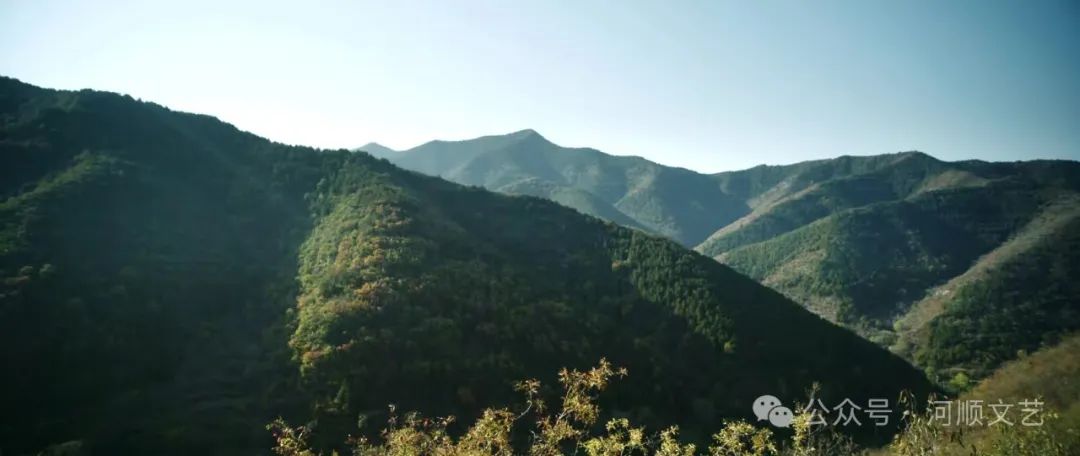 【影 评】太行花开那年| 王和岐