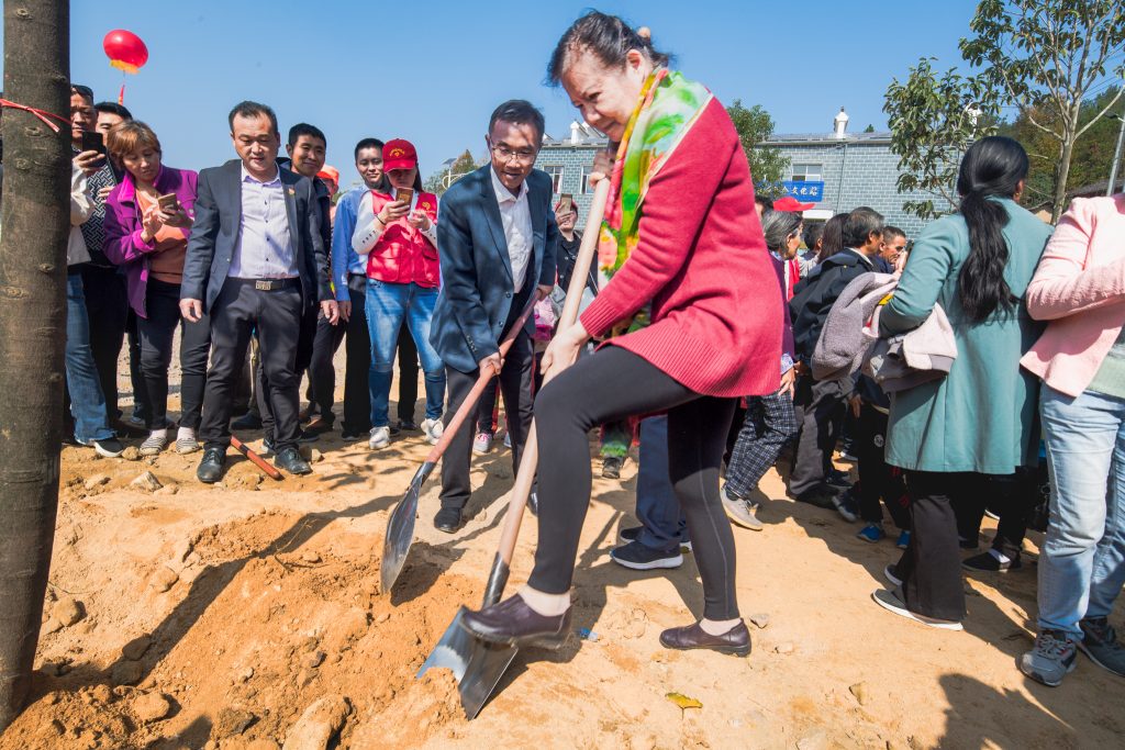 2019年11月9日，李彤妍在八路军旧址种下树苗