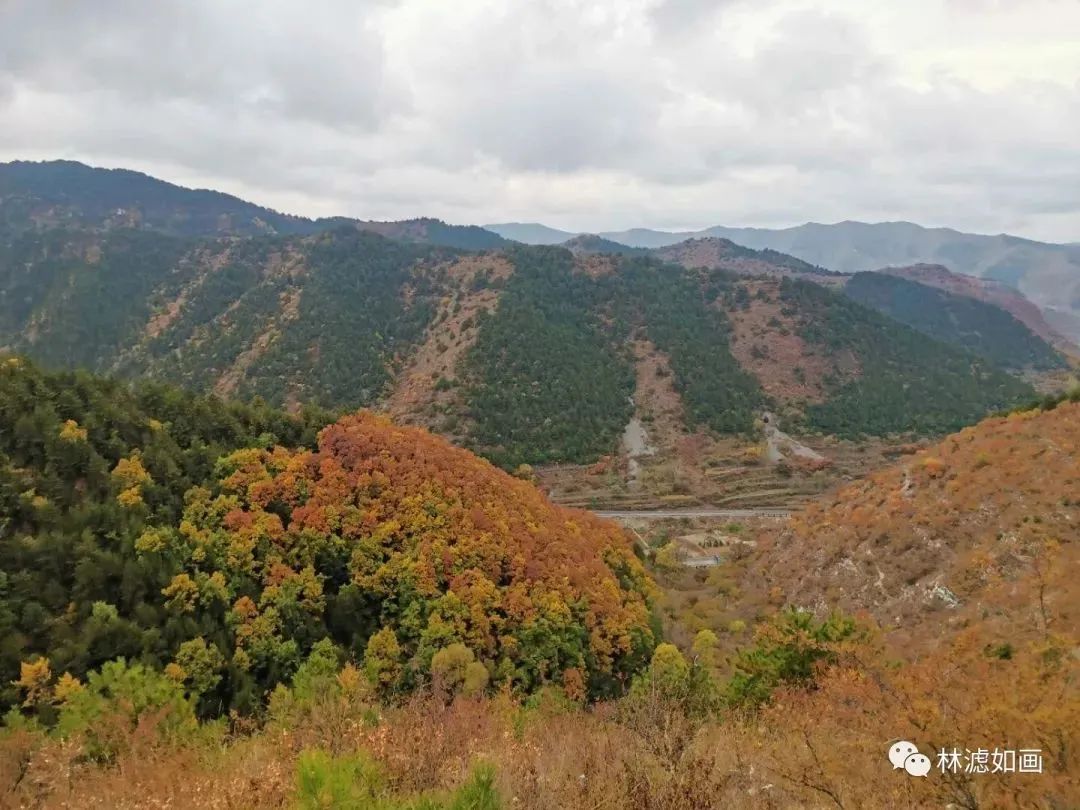 【民间谱牒】寻亲迢迢路，浓浓根脉情，家族辛酸泪,道不尽人世苍桑、催人泪下的一段史话| 魏存生