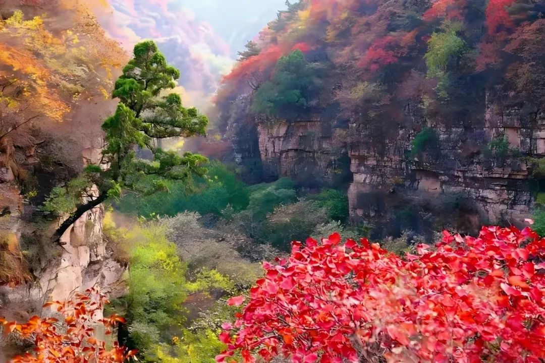 第七届白银坨中加友谊枫叶节在顺平举办