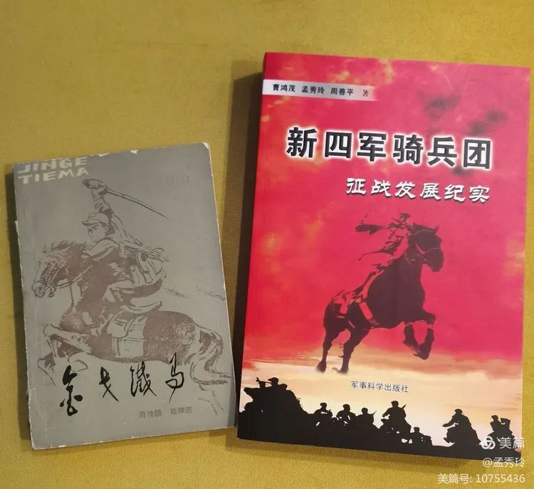 《新四军铁骑》第6集：初露锋芒——38军装甲6师坦克21团史话