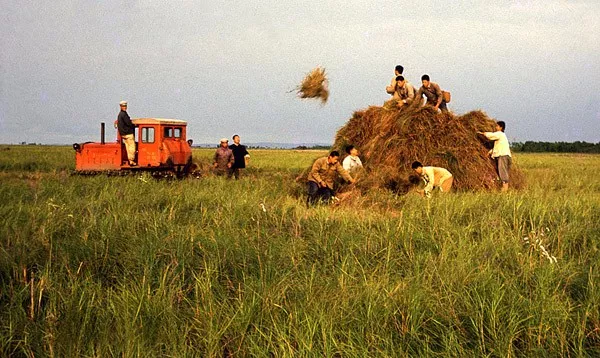 62幅内部绝版照片，太珍贵了！