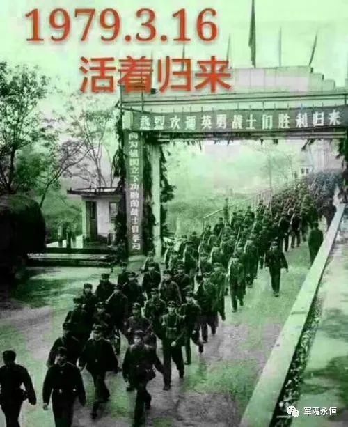 《己未46年祭》（八）：凯旋在子夜丨张小岗