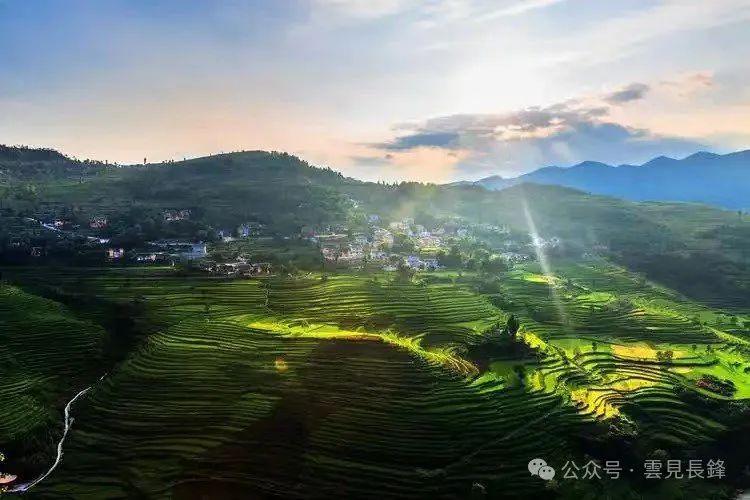 四進三出戰餘慶（一）