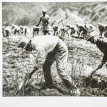 太行区部队指战员在一起开荒种地。