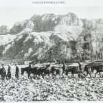 人民群众把最好的粮食运往前线