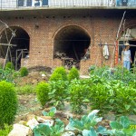 36.2 羊角一二九师模范医院旧址2