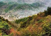 长岭岗下的殷家湾