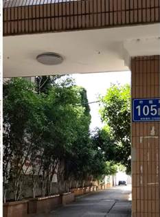 叶挺路