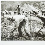 太行区部队指战员在一起开荒种地。