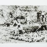 一二九师三八五旅旅长陈锡联在帮助农民浇水灌田。