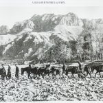 人民群众把最好的粮食运往前线