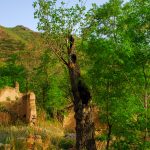 22 苏公村八路军总部通讯营旧址