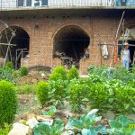 36.2 羊角一二九师模范医院旧址2