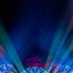 舞台现场 舞台现场